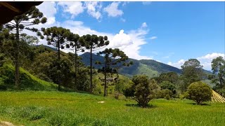 CHÁCARA À VENDA MUITA NATUREZA ENTRE LINDAS CACHOEIRAS GOMERAL GUARATINGUETÁ SP [upl. by Anele]