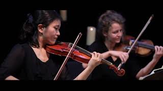 LvBeethoven String Quartet No1 in F major IV [upl. by Stephani]