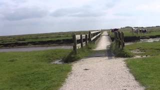 Mit dem Rad rund um Schiermonnikoog [upl. by Arait]