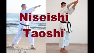 Niseishi Takedowns [upl. by Foah509]