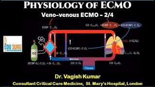 Physiology of ECMO  What is ECMO  Lifesaving support for failing lungs  VV ECMO explained [upl. by Mroz]