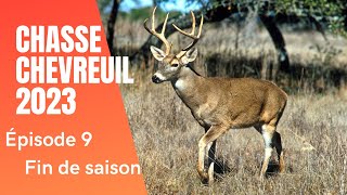 Chasse chevreuil 2023 Fin de saison Ep9 [upl. by Layne]