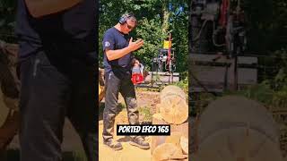 Ported Efco 165 Chainsaw chainsawaddict chainsaw efco [upl. by Doug]