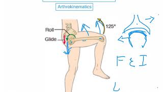 Arthrokinematics of the Hip Joint HIP COMPLEX [upl. by Meehaf]