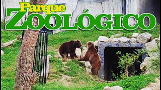 MAKSIMIR ZOO Primera vez en un Zoológico europeo [upl. by Laurita]