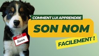 Comment apprendre à mon chien son nom  🐶❓🤷‍♀️ [upl. by Cleasta]