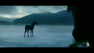 Lloyds Bank Foal By Your Side TV Advert 2020s 20s UK [upl. by Fidela740]