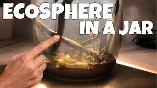 Ecosphere Closed Aquatic Ecosystem [upl. by Charlena]