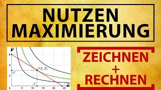 NUTZENMAXIMIERUNG Optimierung mit Indifferenzkurven  Budgetgerade Konsumplan und Nachfrage [upl. by Joellyn]