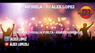 OLVIDAME Y PEGA LA VUELTA PIMPINELA REMIX DJ ALEX LOPEZ [upl. by Wind]