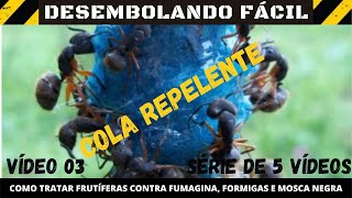 VIDEO 3  Repelente de formigas Como tratar de limoeiro infestado com fumagina  Ant repellent [upl. by Sanfourd991]