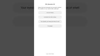 CDL Test 2023 40 Question and Correct Answer [upl. by Wanids]