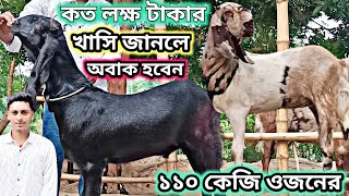 ফুল গার্ভ গ্যারান্টিতে ছাগল কিনুন ১৫ লক্ষ টাকার খাসি বর্তমানেবাচ্চা ছাগল কিনুন [upl. by Dalis]