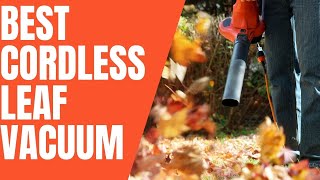 ✅Best Cordless Leaf Vacuum Review 2022 [upl. by Feilak352]