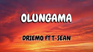 DRIEMO ft T SEAN OLUNGAMA VIDEO LYRICS  mzaliwa album [upl. by Notyad338]