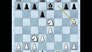 Becki gambit igran kao valcer  ZUKERTORT vs NN  483 [upl. by Atiuqram]