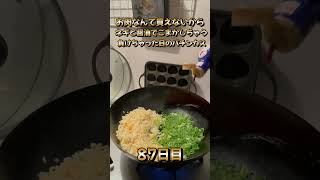 負けちゃったからネギと醤油でごまかしちゃうパチンカス。100日後に絶品チャーハン作る人87日目。 [upl. by Eliason]