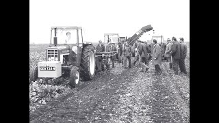 Standen 1974  Green For Go  Sugar Beet Harvesters  Marketing Video  Ely Riverside  Ely Market [upl. by Nyluqcaj]