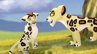 Lion Guard Badili VS Mapigano  The Trouble With Galagos HD Clip [upl. by Aerdnaz]