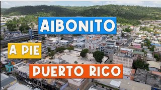 CALOR CAFE Y FLORES EN AIBONITO A Pie 4K [upl. by Nogam]