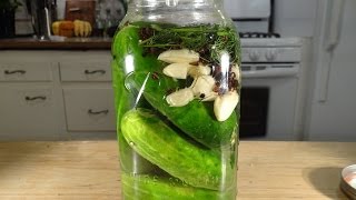 Homemade Dill Pickles Lactofermented [upl. by Elbys]