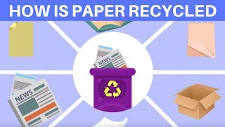 How Is Paper Recycled [upl. by Saravat]