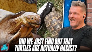 Pat McAfee EXPOSES Turtles As Racists With Some Exquisite Journalism [upl. by Nomolas]