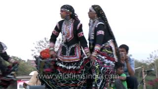 Kalbeliya Dance  One of the most sensuous dance forms of Rajasthan [upl. by Abraham]