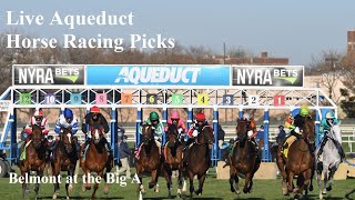 Live Aqueduct Horse Racing Picks  Belmont at the Big A [upl. by Benioff873]