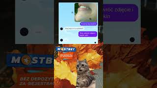 capcut meitu śmieszne polska smieszne czat fup duet viral kot [upl. by Derek528]