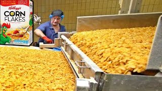 Mass Production of CORN FLAKES🥣 How Corn Flakes Are made In Factory [upl. by Ert717]