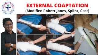 External Coaptation  Lecture 06  Orthopedics [upl. by Yancy]