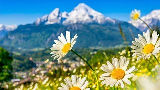 Switzerland AMAZING Beautiful Nature with Soothing Relaxing Music 4k Ultra HD by Tim Janis [upl. by Purdy]