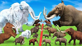 Woolly Mammoth vs Mastodon Fight Which is More Powerful Prehistoric Mammals VS Prehistoric Mammals [upl. by Timofei]