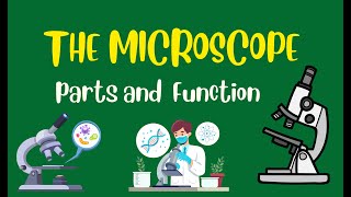 Microscope Parts and Functions  Grade 7 Science DepEd MELC Quarter 2 Module 1 UPDATED VERSION [upl. by Nirat]