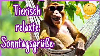 Es ist Sonntag 🌞 Ich hab witzige Wochenend  Grüße für dich dabei 🥳 [upl. by Adiesirb]