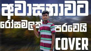 Awasanawata Rosa Malak අවාසනාවට රෝස මලක් පරවෙයි song cover I AVISHKA TUNES [upl. by Chaffinch402]