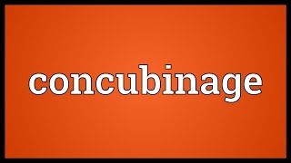 Concubinage Meaning [upl. by Bueschel678]