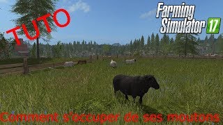 TUTO  Comment soccuper de ses moutons  Farming Simulator 17 [upl. by Llednik267]