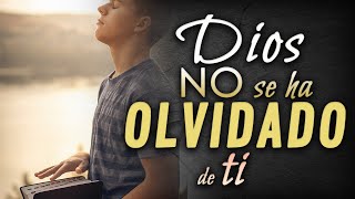 Dios no se ha olvidado de ti  Reflexiones cristianas [upl. by Maurie]