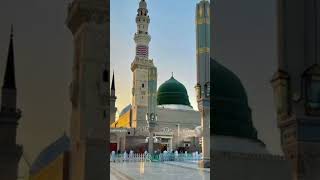 lamha lamha mujh per aata mere Nabi ka hai madina islamicinspiration youtubeshorts whatsappstatu [upl. by Halimaj]