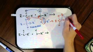 Formation of Hemiacetals and Acetals [upl. by Reisfield]