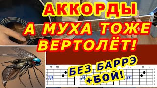 БОМЖ Аккорды ♪ Сектор Газа ♫ Разбор песни на гитаре 🎸 Гитарный Бой для начинающих [upl. by Nivej562]