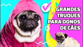 5 Ideias de brinquedos de cachorro fáceis de fazer em casa [upl. by Boccaj451]