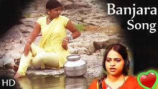 Maro Pagla Ghasargo  Banjara Video Song  Shahin Shaikh New Banjara Song [upl. by Nnylasor]