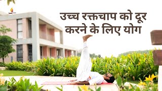 उच्च रक्तचाप हाई ब्लड प्रेशर को दूर करने के लिए योग  SRMD Yoga  SRMD Hindi [upl. by Floyd930]