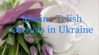 200824 Посилка від сестри Ідентифікуємо рослиниplants flower украіна [upl. by Rabassa]