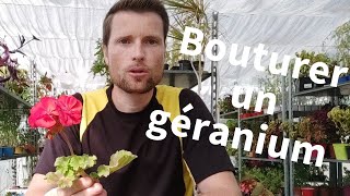 TUTO Bouturer des géraniums [upl. by Anailil]