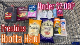 WalmartDollar Tree Ibotta Haul 52324  2 Freebies  No Weekend Warrior [upl. by Nosrettap599]