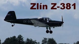 Zlin Z381  Bücker Bü 181 Bestmann Pardubice Airshow 2019 [upl. by Gayelord545]